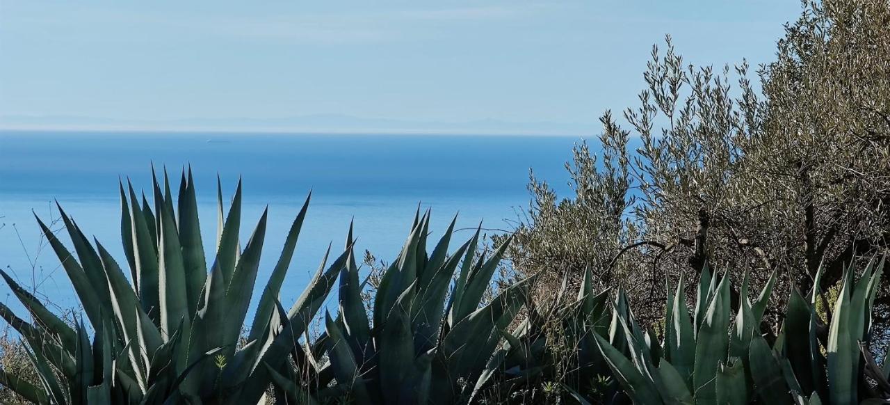 Campo Agave Luxury Tents Sayalonga Exterior foto