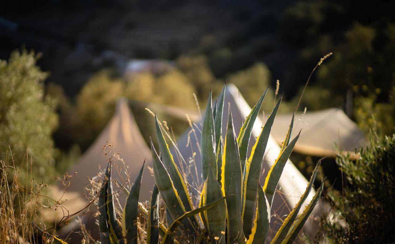 Campo Agave Luxury Tents Sayalonga Exterior foto
