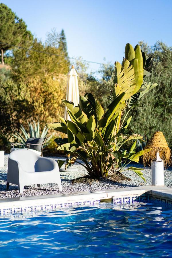Campo Agave Luxury Tents Sayalonga Exterior foto